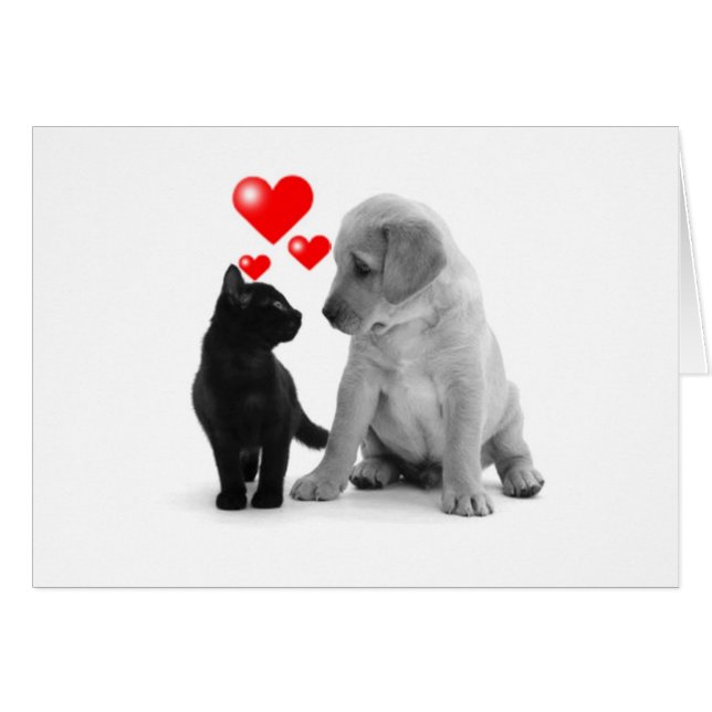 SOMMIGE ZIE STARS-IK ZIE HARTEN OMDAT "JIJ" IS. (Voorkant Horizontaal)