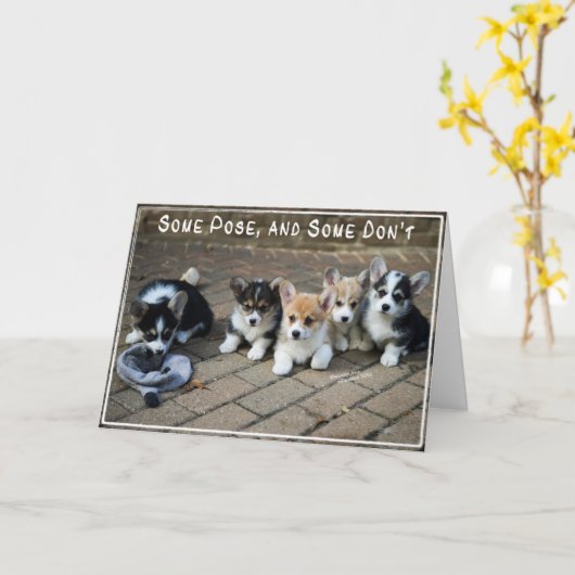 Sommigen stellen, wat niet "puppy" ~ Corgi in een Kaart (Gele Bloem)
