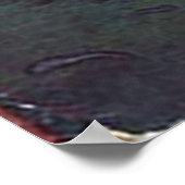 Somnium Books — Dan beklaagt de motorkap Poster (Hoek)