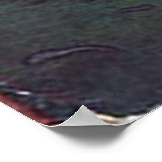 Somnium Books — Dan beklaagt de motorkap Poster (Hoek)