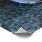 SOMS DE WERELDKLACHT OP JULLIE poster (Hoek)