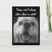 SOMS DINGEN ZIJN BLAUW! GOED KRIJGEN KAART (Voorkant)