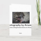 Soms hebben zelfs apen slechte dagen kaart (Achterkant)