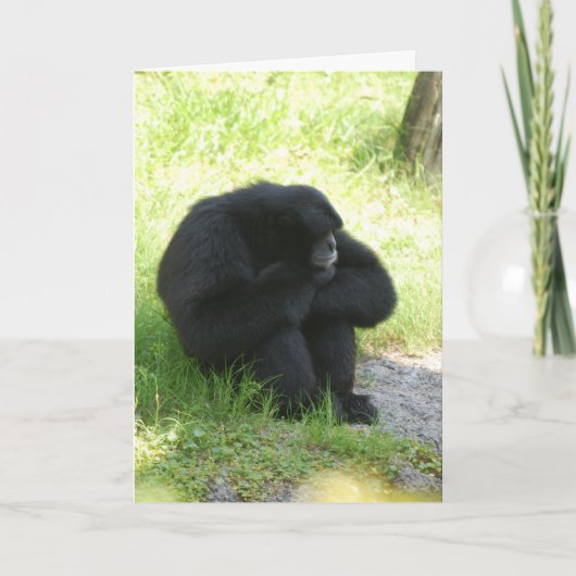 Soms hebben zelfs apen slechte dagen kaart (Voorkant)