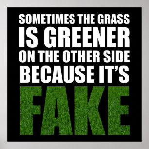 Soms is de gras groener omdat hij fake is poster