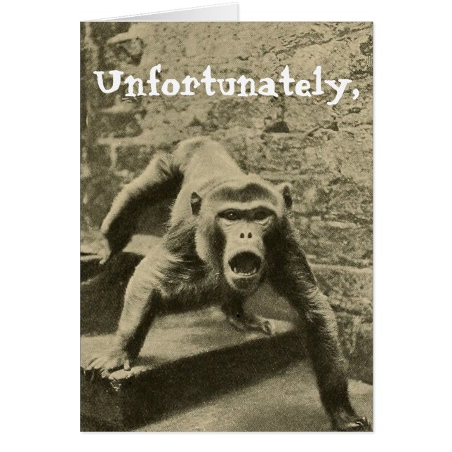 Soms is het jouw Circus, het zijn je apen (Voorkant)