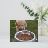 Soms is het moeilijk om aan uw verwachtingen te vo briefkaart (Staand voorkant)