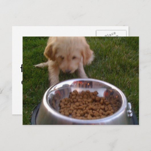 Soms is het moeilijk om aan uw verwachtingen te vo briefkaart (Voorkant / Achterkant)