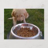 Soms is het moeilijk om aan uw verwachtingen te vo briefkaart (Voorkant)