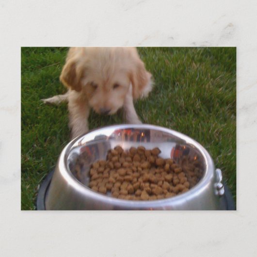 Soms is het moeilijk om aan uw verwachtingen te vo briefkaart (Voorkant)