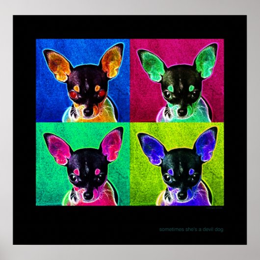 soms is ze een duivelhond poster (Voorkant)