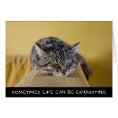 Soms kan het leven kletskat uitputten (Voorkant Horizontaal)