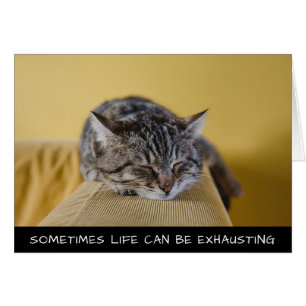 Soms kan het leven kletskat uitputten