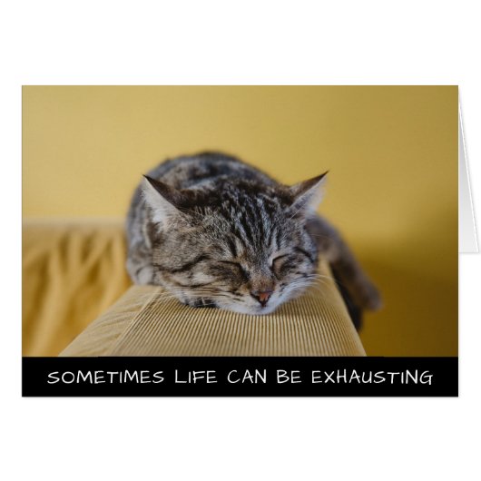 Soms kan het leven kletskat uitputten (Voorkant Horizontaal)