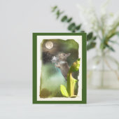 Soms laat 's nachts hoor ik Joey Zing / Kaart (Staand voorkant)