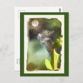 Soms laat 's nachts hoor ik Joey Zing / Kaart (Voorkant / Achterkant)