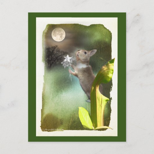 Soms laat 's nachts hoor ik Joey Zing / Kaart (Voorkant)