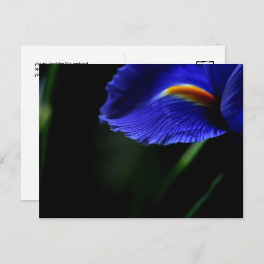 Soms Mooi briefkaart (iris) (Voorkant / Achterkant)