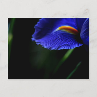 Soms Mooi briefkaart (iris)