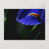 Soms Mooi briefkaart (iris) (Voorkant)