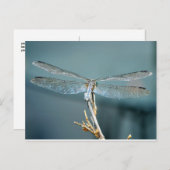 Soms Mooi briefkaart (libel) (Voorkant / Achterkant)