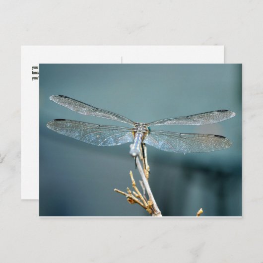 Soms Mooi briefkaart (libel) (Voorkant / Achterkant)