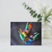 Soms Mooi briefkaart (penselen) (Staand voorkant)