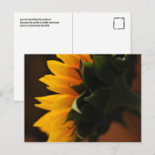 Soms Mooi briefkaart (zonnebloem) (Voorkant / Achterkant)