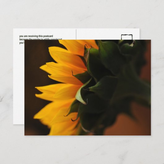 Soms Mooi briefkaart (zonnebloem) (Voorkant / Achterkant)