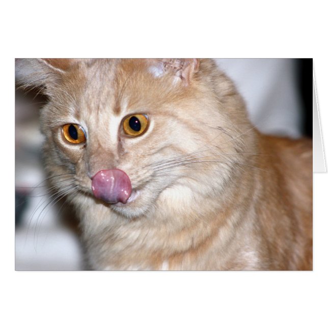 Soms probeer ik Normaal te zijn (Voorkant Horizontaal)