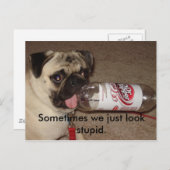 Soms zien we er gewoon dom uit. briefkaarten (Voorkant / Achterkant)