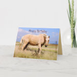 Son Happy Birthday Palomino Horse Kaart<br><div class="desc">Een mooi palominopaard staat in een windvrustige weide. Een ander uitzicht van het paard staat op de achterkant van de kaart.</div>
