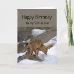 Son-in-law Deserve Wonderful Birthday Fox Kaart<br><div class="desc">Fun Son-in-law Birthday Je verdient het om Wonderful Birthday Fox te zien als iets intens. Een geweldige kaart voor iemand die van dieren en vossen houdt.</div>