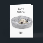 SON OP BIRTHDAY! KAART<br><div class="desc">DANK U VOOR EEN VAN MIJN ACHT STORES!!!!</div>