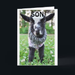 *SON* OPGESLAGEN DOOR OP BIRTHDAY OM TE ZEGGEN HAP KAART<br><div class="desc">BEDANKT VOOR HET OPSLAAN DOOR EEN VAN MIJN ACHT STORES. GEBEUREN OP "UW ZON" OF ZELFS UW "SON-IN-WET"</div>