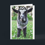 *SON* OPGESLAGEN DOOR OP BIRTHDAY OM TE ZEGGEN HAP KAART<br><div class="desc">BEDANKT VOOR HET OPSLAAN DOOR EEN VAN MIJN ACHT STORES. GEBEUREN OP "UW ZON" OF ZELFS UW "SON-IN-WET"</div>