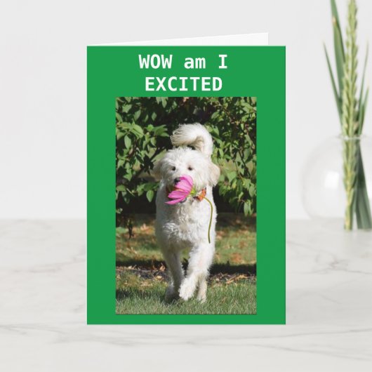 SON TURNS 21 HEEFT ZICH TOT ZEG GEMAAKT. KAART (Voorkant)