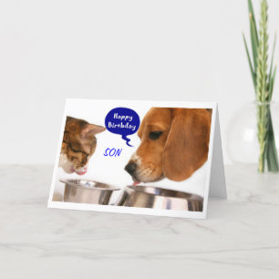 SON-UR ZO VEEL PLEZIER = LEUKE VERJAARDAG WENSEN KAART