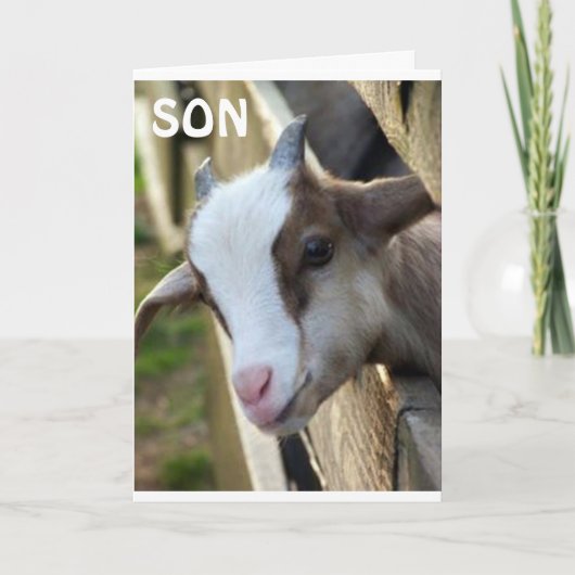 **SON VAN HET JAAR** EN EVENTUELE TWEEDE DAG KAART (Voorkant)