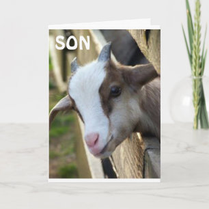 **SON VAN HET JAAR** EN EVENTUELE TWEEDE DAG KAART