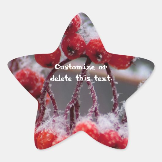 SONB Sneeuw op bessen;  Ster Sticker (Voorkant)