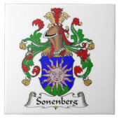 SONENBERG FAMILIE CREST OP DE KUST VAN WAPENS TEGELTJE (Voorkant)