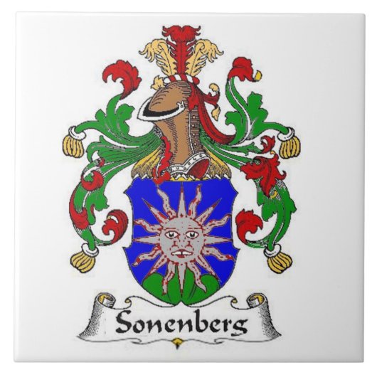 SONENBERG FAMILIE CREST OP DE KUST VAN WAPENS TEGELTJE (Voorkant)