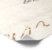  Song Bird Illustration - 1800's Birds Text Poster (Hoek)