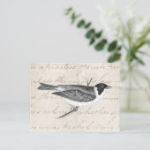  Song Bird Illustration - Birds 1800 Briefkaart (Staand voorkant)