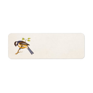 Song Bird Illustration - Birds 1800 Etiket