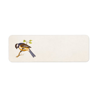 Song Bird Illustration - Birds 1800 Etiket
