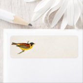  Song Bird Illustration - Birds 1800 Etiket (Insitu)