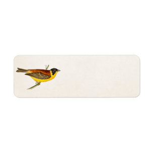 Song Bird Illustration - Birds 1800 Etiket