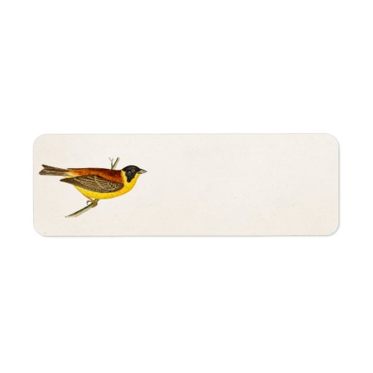  Song Bird Illustration - Birds 1800 Etiket (Voorkant)